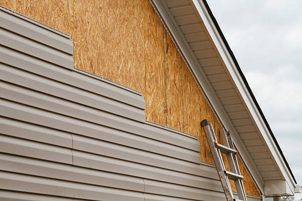 Professional Siding Repair technician working in Brilliant, OH